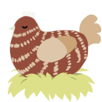 A russet and beige chicken with a bar pattern