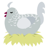 A silver and mist chicken with a half-lace pattern