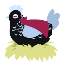 A black and silver chicken with a half-lace pattern
