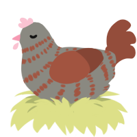 A ash and russet chicken with a bar pattern