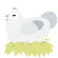 A white and mist chicken with a lace pattern