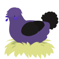 (unnamed), a overcast and sable chicken