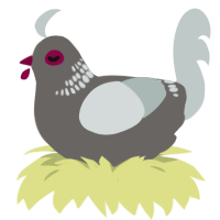 A grey and silver chicken with a neck-band pattern