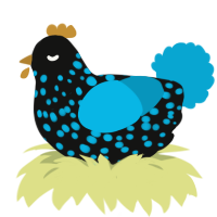 A black and cerulean chicken with a speckle pattern