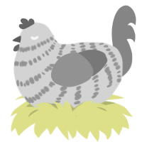 A mist and ash chicken with a bar pattern