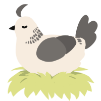 A cream and grey chicken with a neck-band pattern