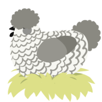 Mono, a white and ash chicken with a lace pattern