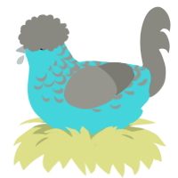 A aqua and ash chicken with a half-lace pattern