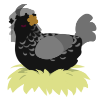A sable and ash chicken with a half-lace pattern
