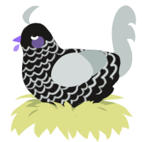 Puppet, a sable and silver chicken with a lace pattern