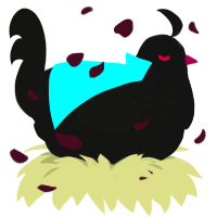 A black chicken with a half-lace pattern