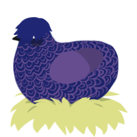 A navy and overcast chicken with a double-lace pattern