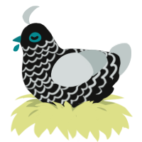 A black and silver chicken with a lace pattern
