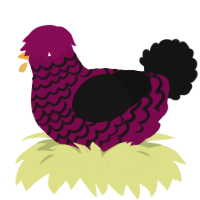 A wine and black chicken with a lace pattern