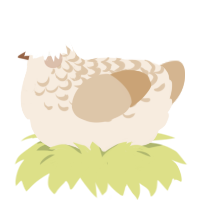 A cream and beige chicken with a half-lace pattern