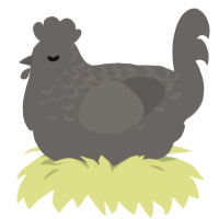 A grey chicken with a half-lace pattern