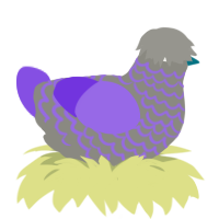 Graph, a ash and blurple chicken with a lace pattern