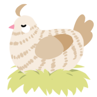 A cream and beige chicken with a bar pattern