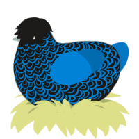 A sable and sapphire chicken with a double-lace pattern