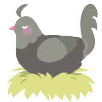 A grey and ash chicken with a head pattern