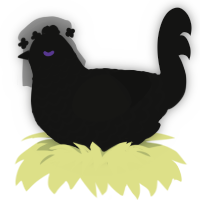A black chicken with a lace pattern