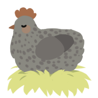 PerfectlyRoundPebble, a ash and grey chicken with a speckle pattern