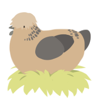 (unnamed), a beige and grey chicken with a neck-band pattern