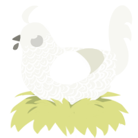 A white chicken with a double-lace pattern