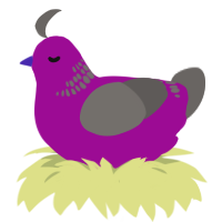 A plum and grey chicken with a neck-band pattern
