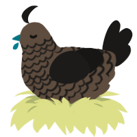 A bark and sable chicken with a lace pattern