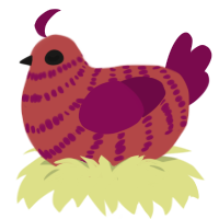 A red and wine chicken with a bar pattern