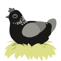 A sable and ash chicken with a neck-speckle pattern