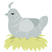 A silver chicken with a half-bar pattern