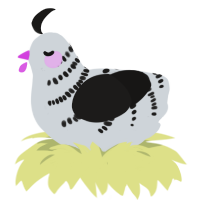 A mist and sable chicken with a half-bar pattern