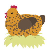 Gouda, a orange and bark chicken with a speckle pattern