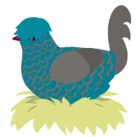 Mop, a sea and grey chicken with a lace pattern