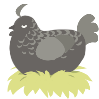 A grey and ash chicken with a half-lace pattern