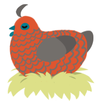 A vermilion and grey chicken with a lace pattern