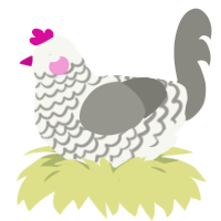 Goopy Goobert, a white and ash chicken with a lace pattern