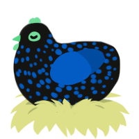 Depths, a black and ultramarine chicken with a speckle pattern
