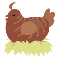 A russet and brown chicken with a half-bar pattern