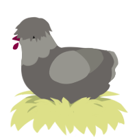 A grey and ash chicken with a head pattern
