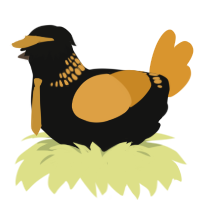 A black and orange chicken with a neck-band pattern