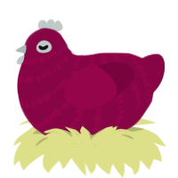 Yozora, a maroon chicken with a bar pattern
