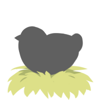 A white chicken with a neck-speckle pattern