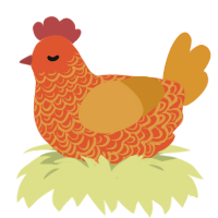LC Lava 0 4 11, a vermilion and orange chicken with a double-lace pattern