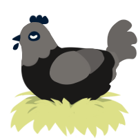 old victorian, a sable and grey chicken with a head pattern