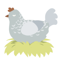 A silver and mist chicken with a half-lace pattern