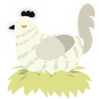 A white and silver chicken with a bar pattern