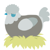 A ash and silver chicken with a head pattern